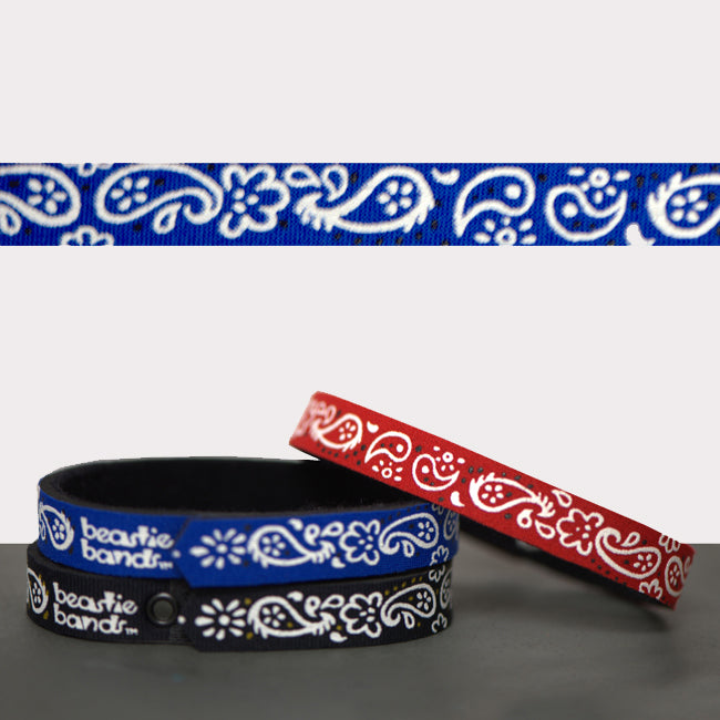 Beastie Band Cat Collars - Symbols + Patterns Collection Paisley