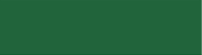 Beastie Bands Cat Collars - Solid Color Collection Green