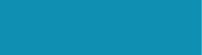Beastie Bands Cat Collars - Solid Color Collection Turquoise