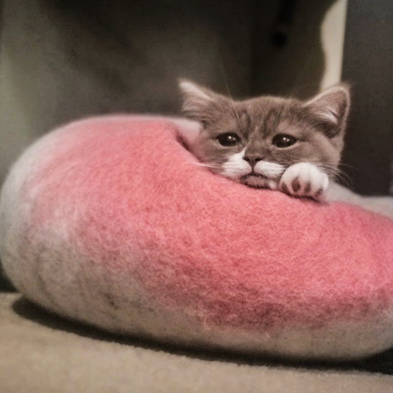 Ombre Wool Pet Cave - Rose