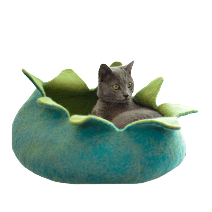 Wool Petal Pet Basket - Aqua & Green