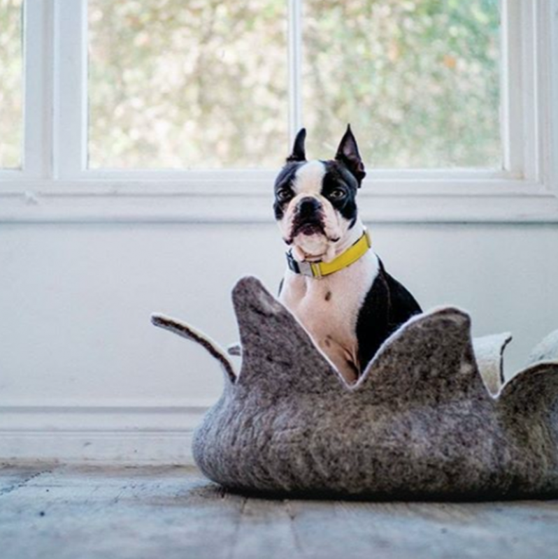 Wool Petal Pet Basket - Natural