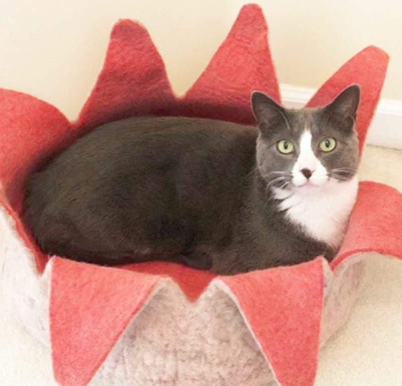 Wool Petal Pet Basket - Rose