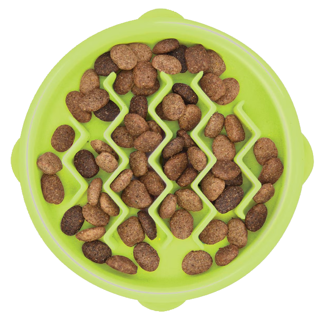 Cat slow eater hot sale