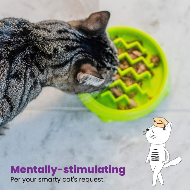 Catstages Kitty Slow Feeder