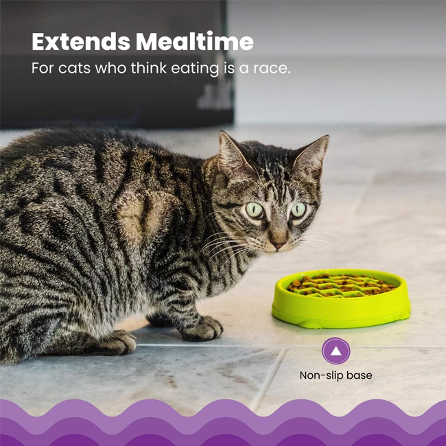 Catstages Kitty Slow Feeder