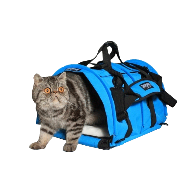SturdiBag Pet Carrier