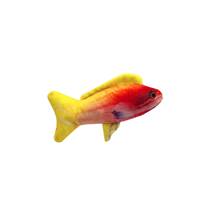 Kittybelles Rainbow Guppy Catnip Toy