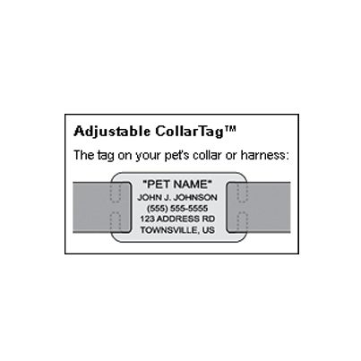Boomerang Collar Mini Tags