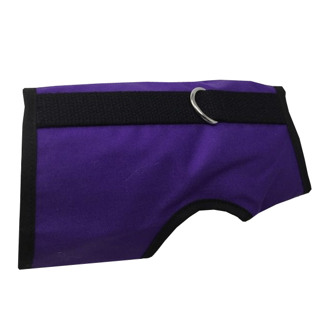 Kitty Holster Cat Harness Purple