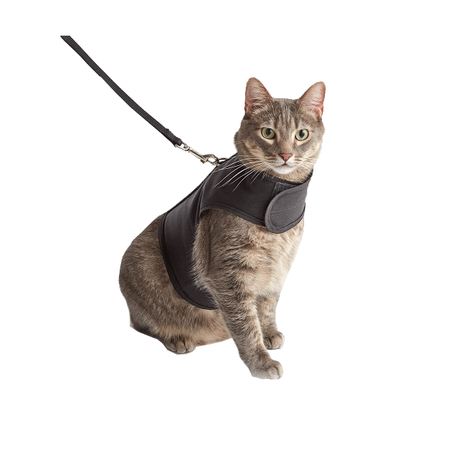Kitty Holster Cat Harness The Cat Connection