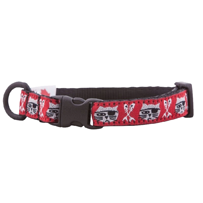 RC Kitty Pirate Cat Breakaway Collar