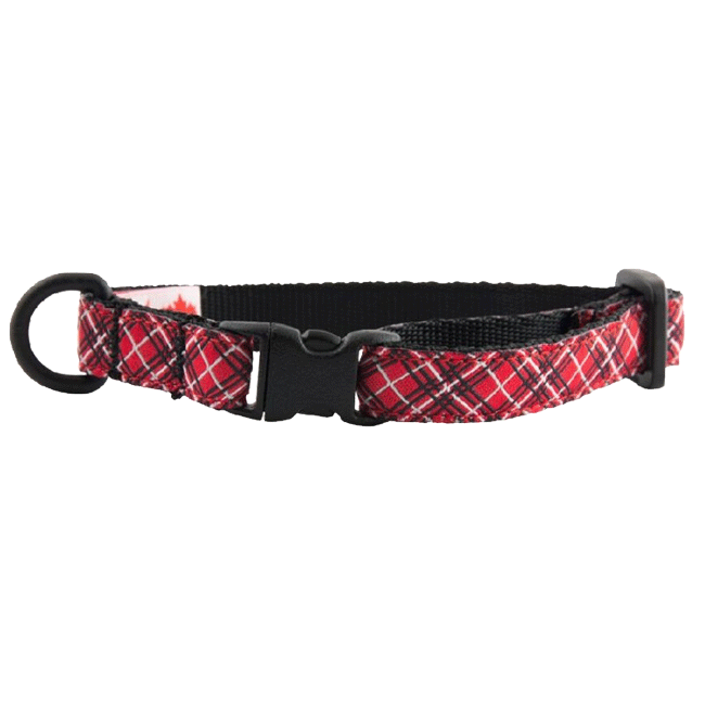 RC Kitty Red Tartan Breakaway Collar