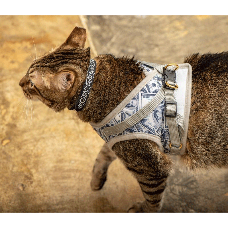 Adventurer Travel Cat Harness and Leash Set