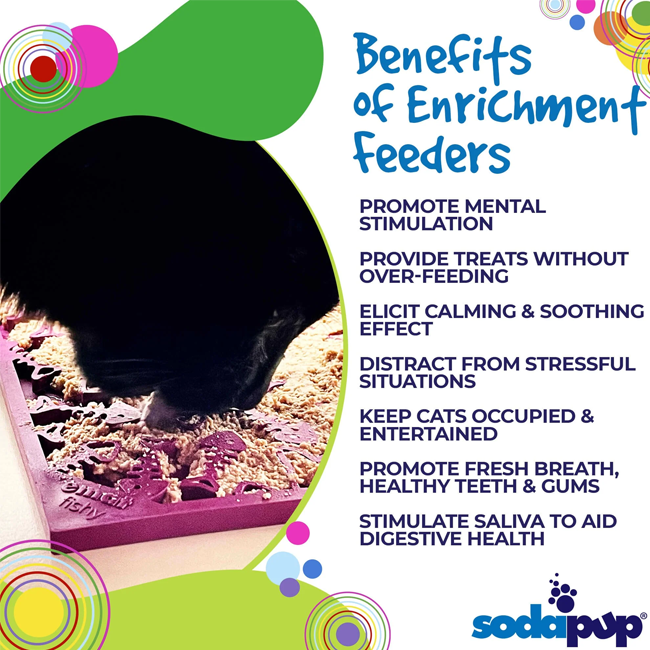 Skull Design Enrichment Lick Mat