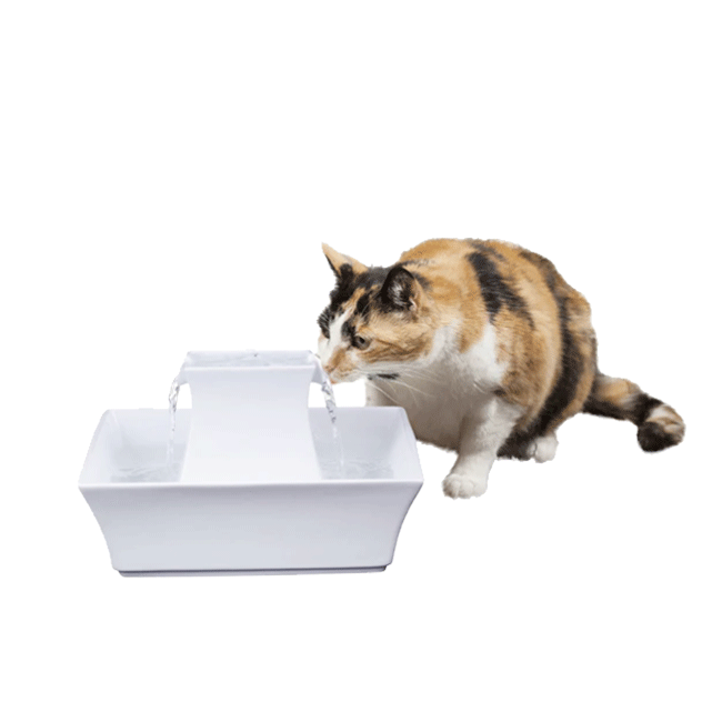 Drinkwell Pagoda Ceramic Pet Fountain