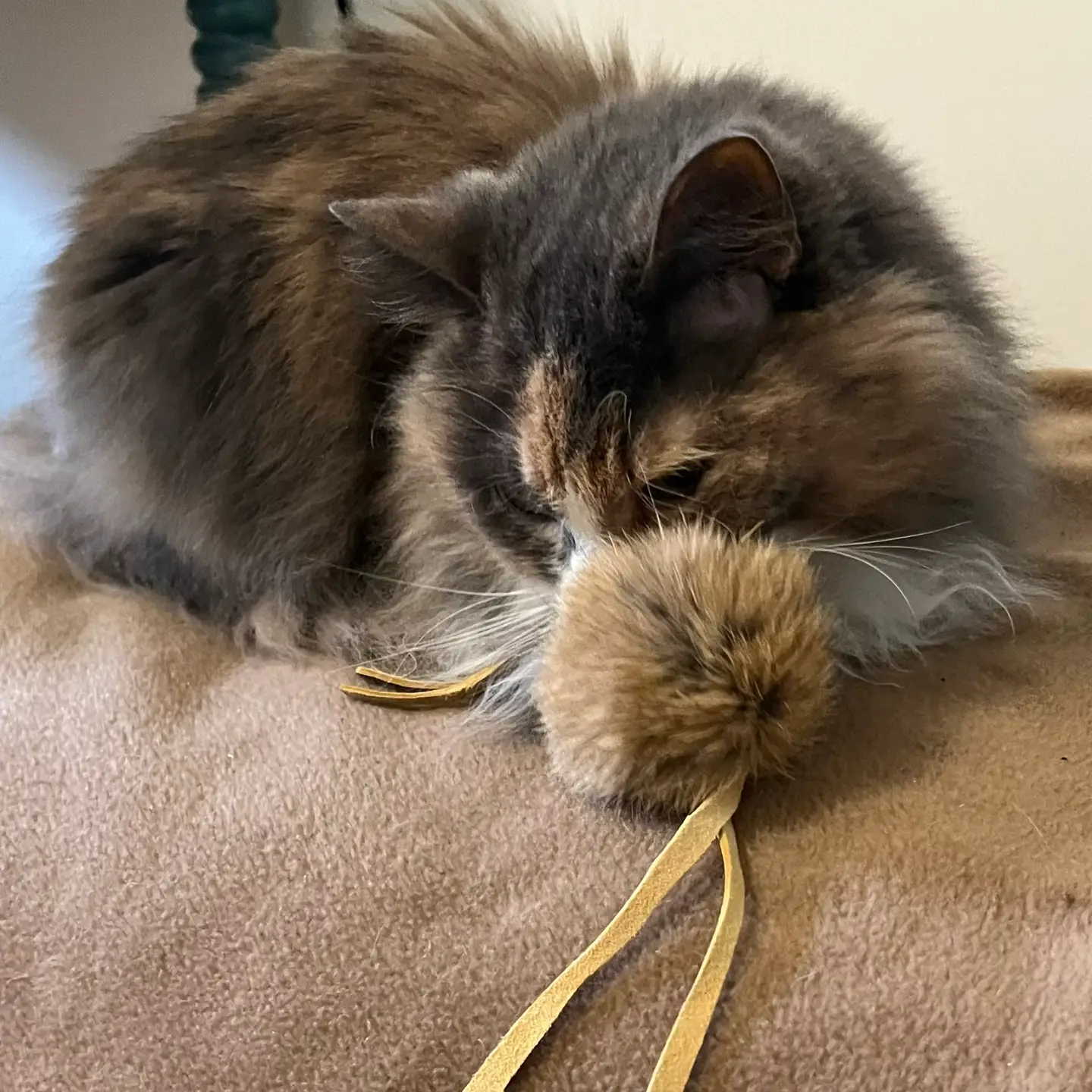 Fur Fluffle Cat Toy