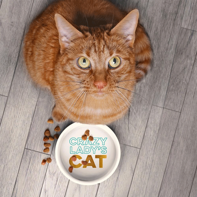 Ceramic Mug + Cat Bowl Set - Crazy Cat Lady