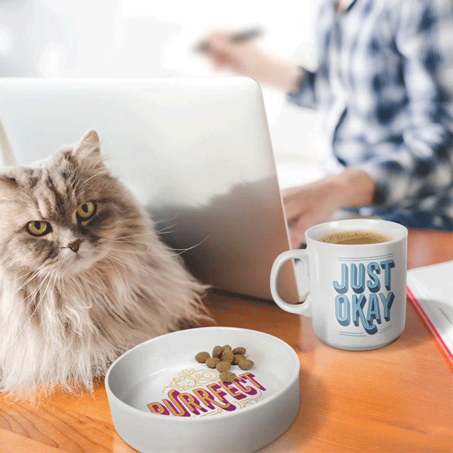 Ceramic Mug + Cat Bowl Set - PURRFECT