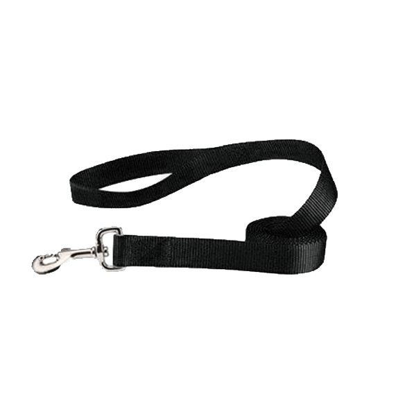 6ft Nylon Cat Leash