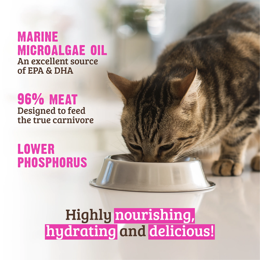 RAWZ Phosphorus Tuna & Salmon in Broth Cat Food Recipe