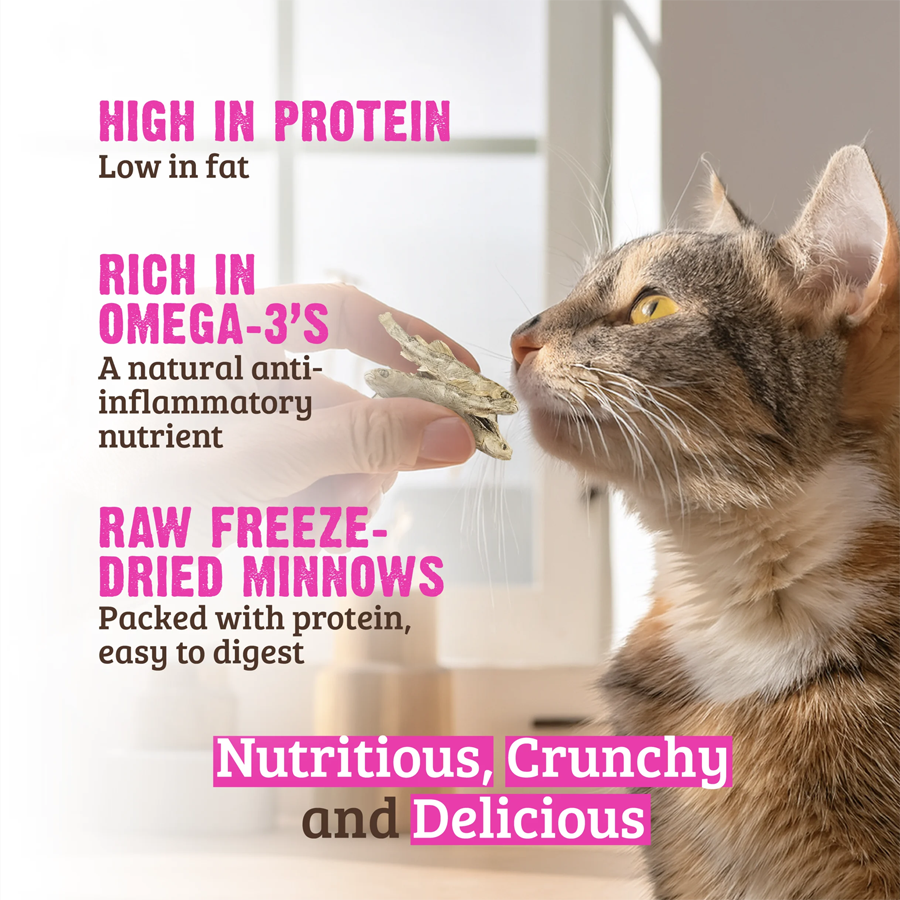 RAWZ Raw Freeze Dried Minnows Crunchy Cat Treats