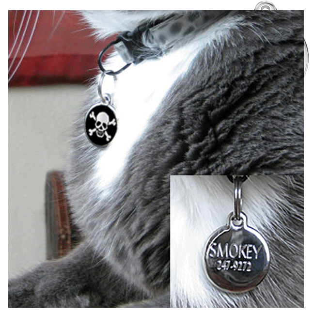 Red Dingo Pet ID Tags - Small Designs 2