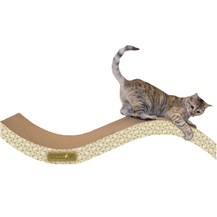 Giant Purr-fect Stretch Cardboard Cat Scratcher - Paisley