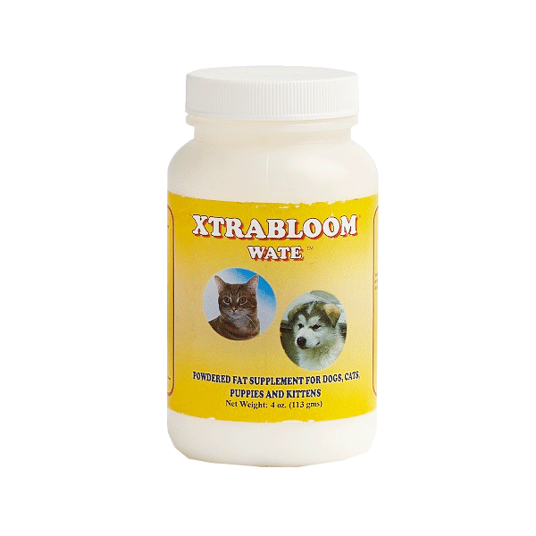 Kitty Bloom Xtrabloom Wate