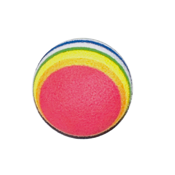 Rainbow Foam Ball Cat Toy