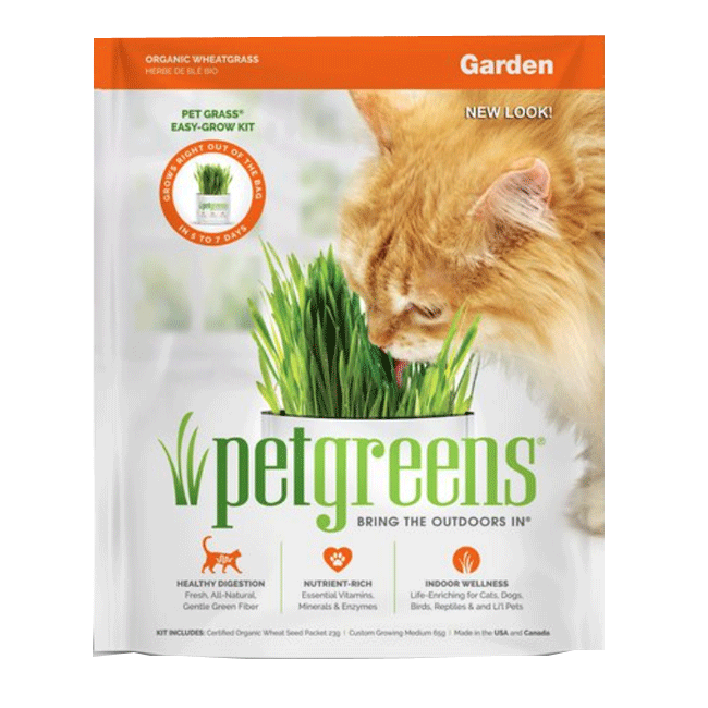 Pet Greens Self Grow Garden Pet Grass