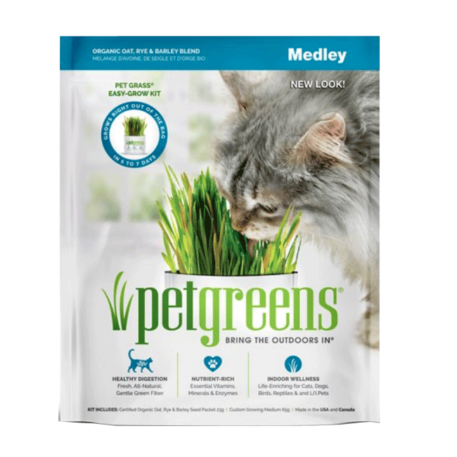 Pet Greens Self Grow Medley Pet Grass