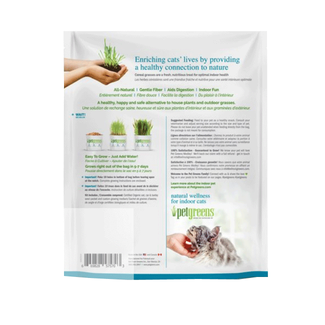 Pet Greens Self Grow Medley Pet Grass
