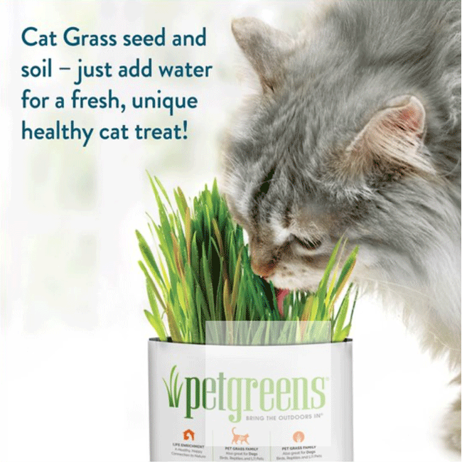 Pet Greens Self Grow Medley Pet Grass