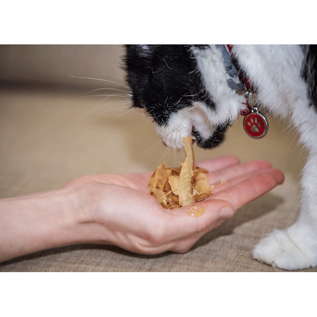 Simply Bonito Cat Treats
