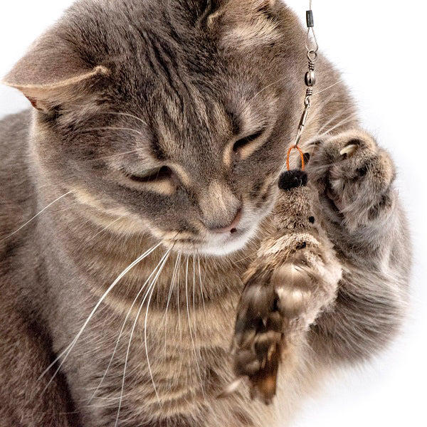 Go Cat Da Birdie Wand Attachment