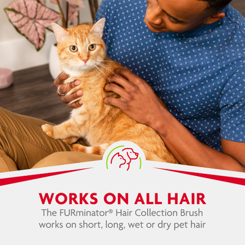 Furminator Hair Collection Brush
