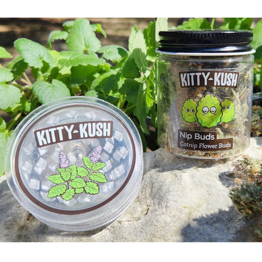 Kitty Kush Nip Buds: Catnip Flower Buds with Grinder