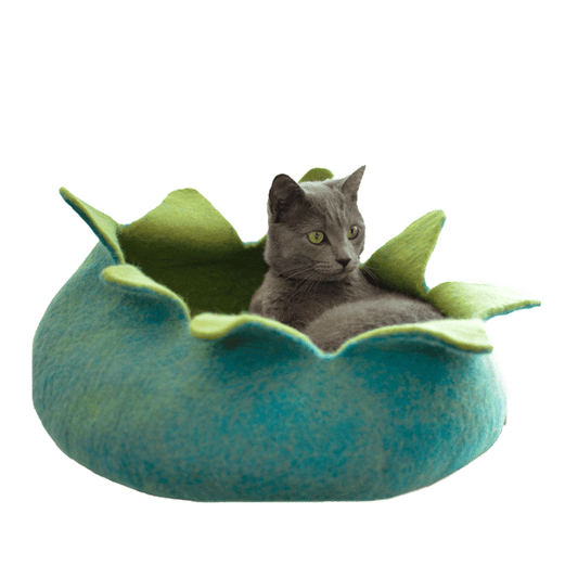 Wool Petal Pet Basket - Aqua & Green