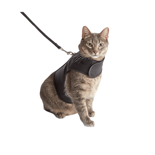 Kitty Holster Cat Harness