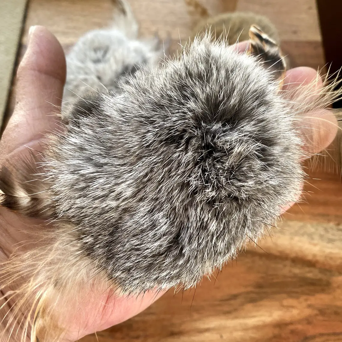 Feather and Fur Spinner Cat Toy