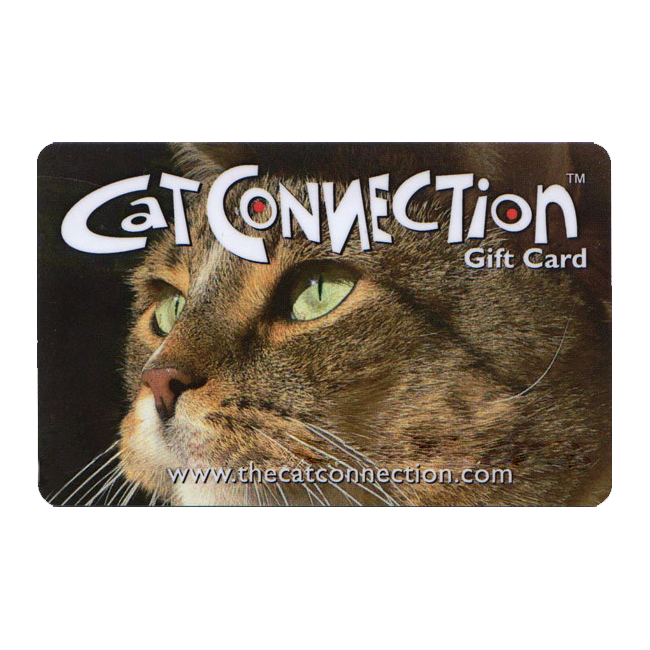 Cat Connection E-Gift Card – The Cat Connection