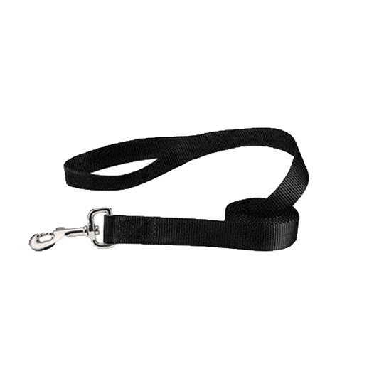 6ft Nylon Cat Leash