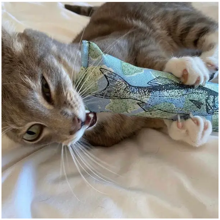 Dr Pussums Fresh Fish-Nip Catnip Kicker Toy