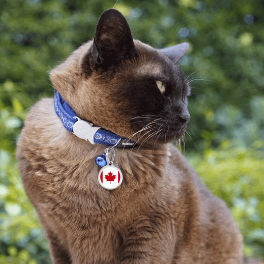 Red Dingo Pet ID Tags - Flag Designs