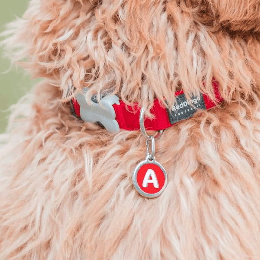 Red Dingo Pet ID Tags - Letter Designs