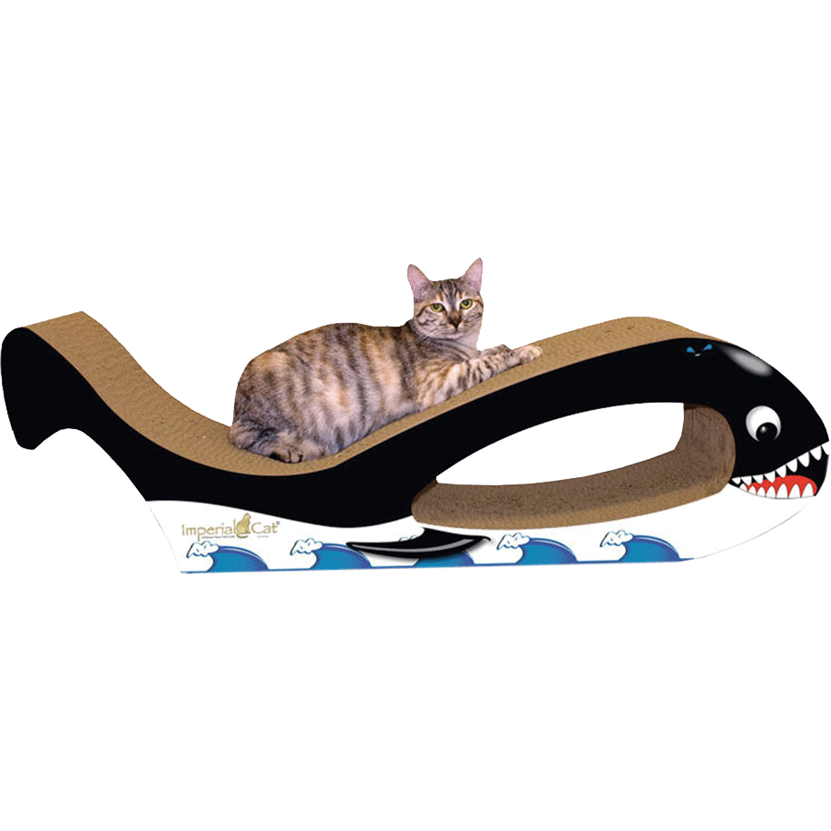 Giant Whale Cardboard Cat Scratcher - Orca – The Cat Connection