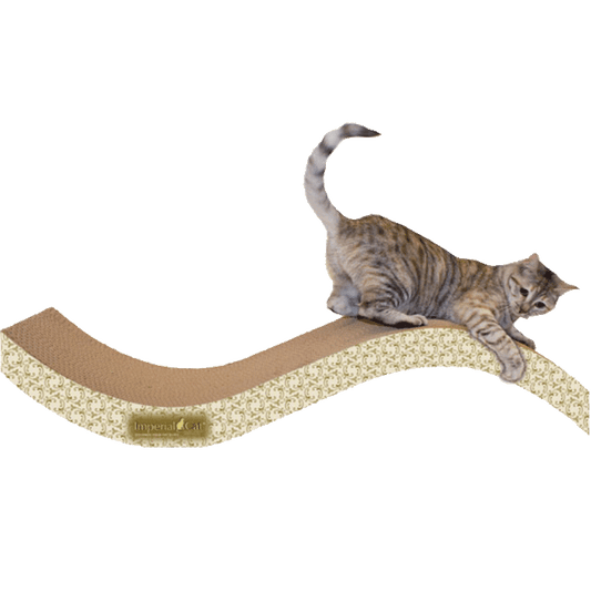 Giant Purr-fect Stretch Cardboard Cat Scratcher - Paisley