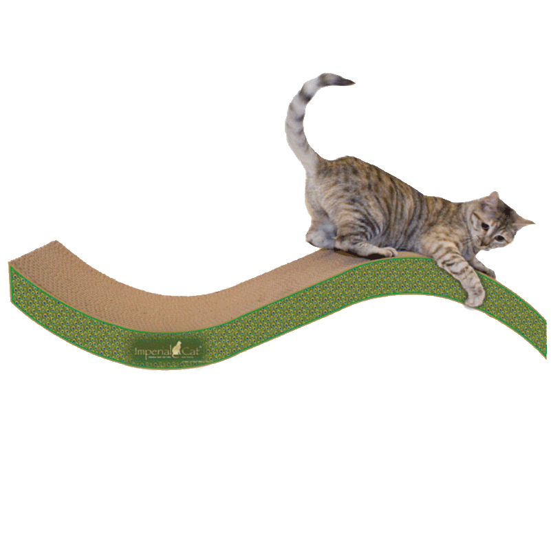 Giant Purr-fect Stretch Cardboard Cat Scratcher - Peacock