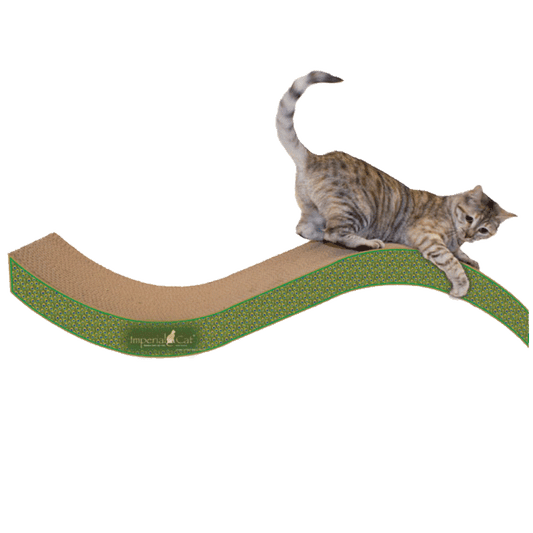 Giant Purr-fect Stretch Cardboard Cat Scratcher - Peacock